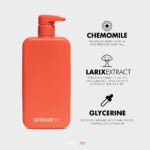 The Masterpice micelarni šampon sa kamilicom larix extratom i glicerinom - ExtensioPro